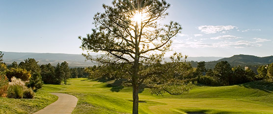 Castle Pines Village Colorado Luxury Living